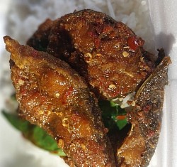 พริกแกงปลาดุกทอด 50(ไข่เจียว ไข่ดาว ไข่ต้ม+10)